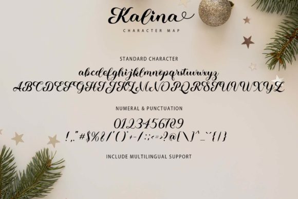 Kalina Font PNG with transparent background - Preview 6