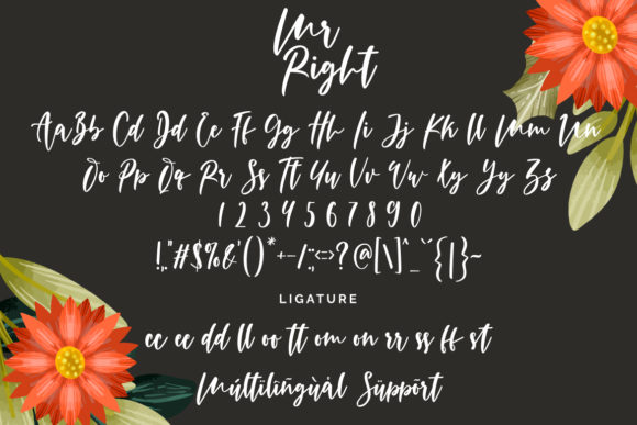 Mr Right Font font preview - 6