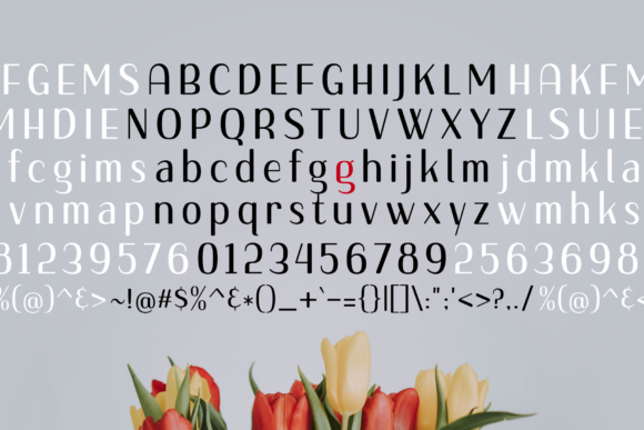 Gojet Font - Preview 3