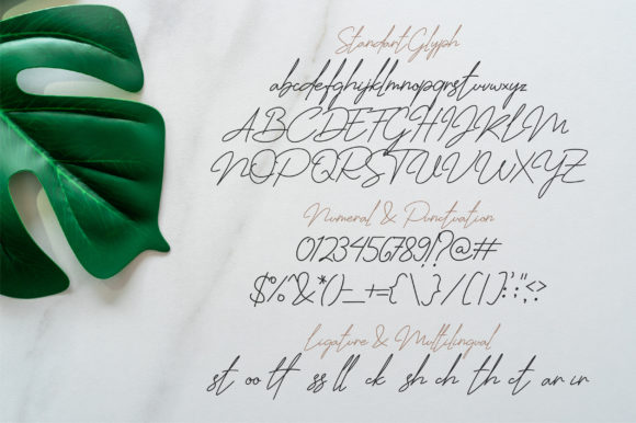 Jhenyta Signature Font PNG with transparent background - Preview 4