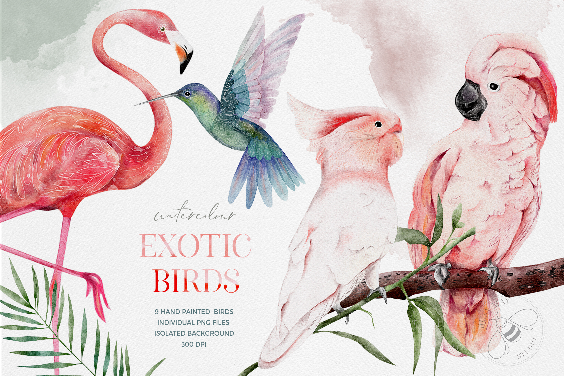 Watercolor Exotic Birds Tropical PNG - photo 1