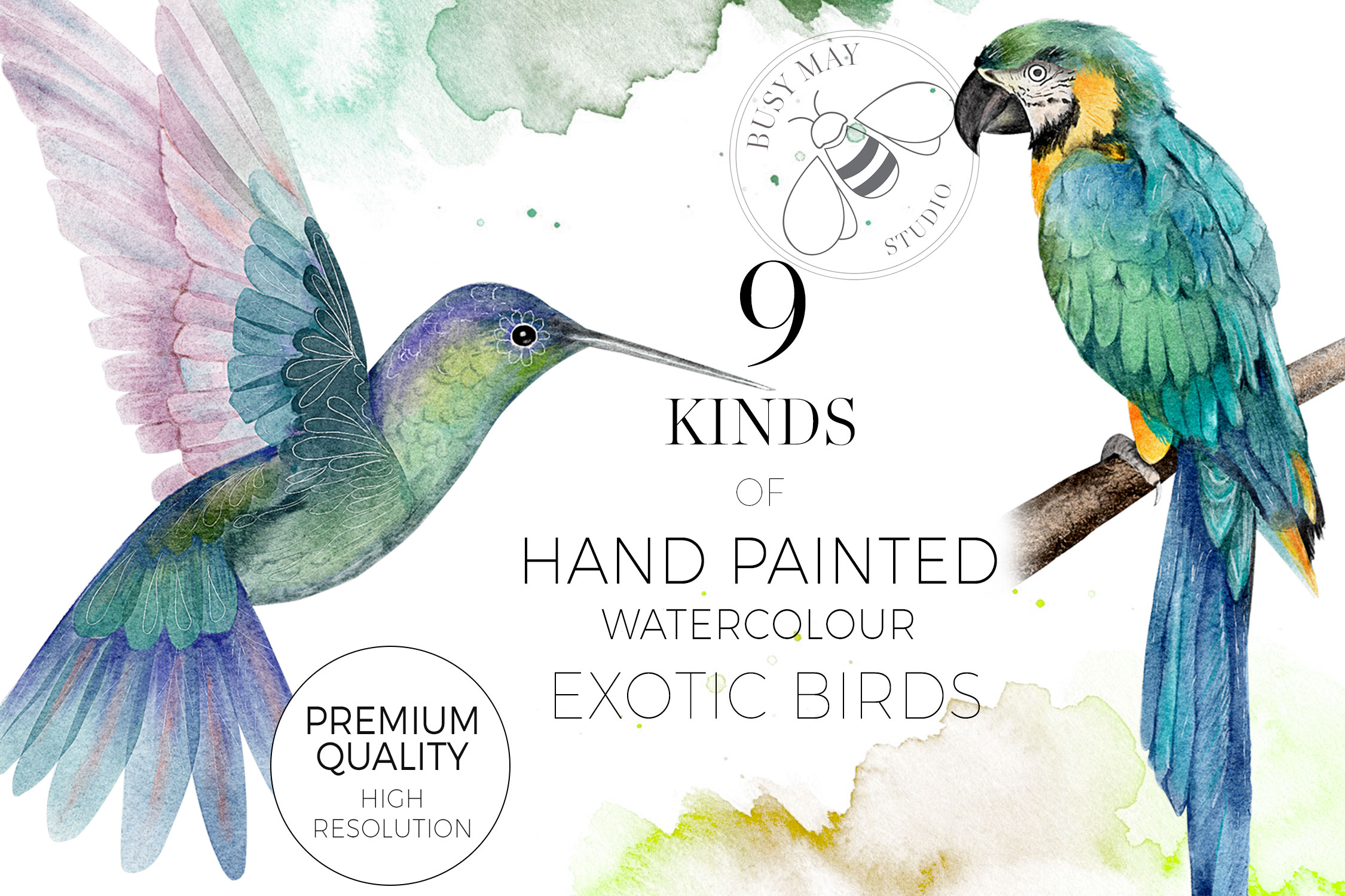 Watercolor Exotic Birds Tropical PNG - photo 2
