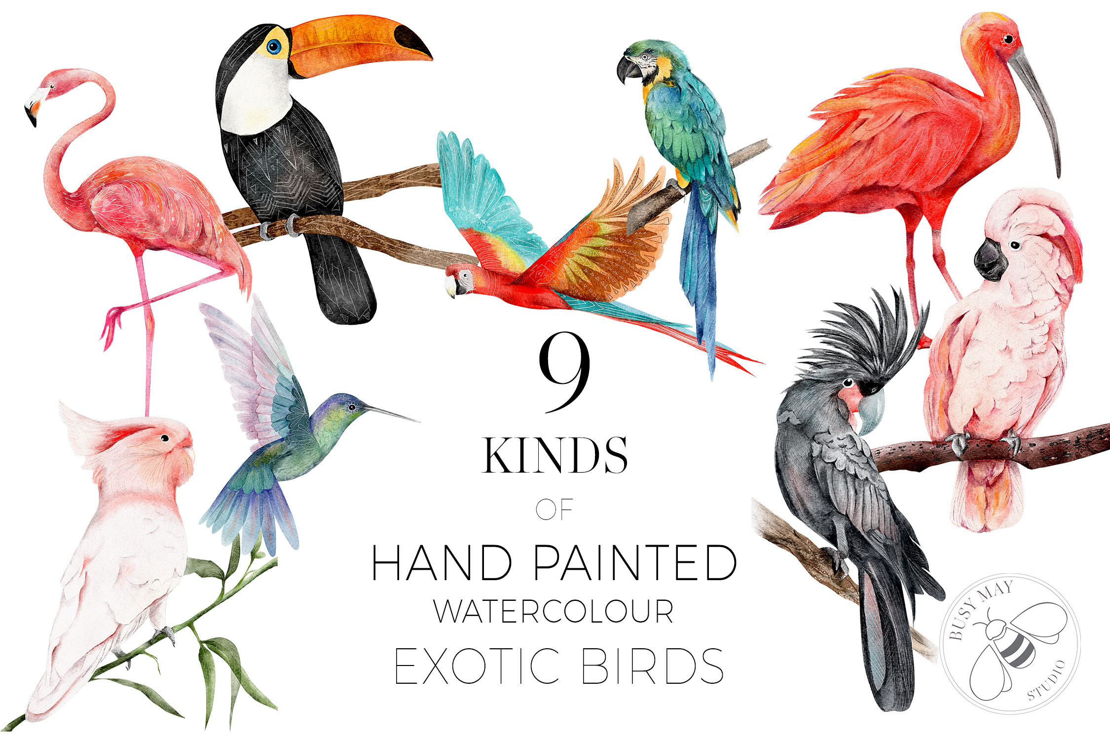 Watercolor Exotic Birds Tropical PNG - photo 7
