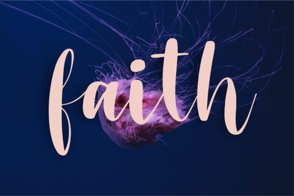 Desila Font - Preview 2