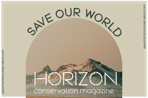 Environment Font - Preview 4