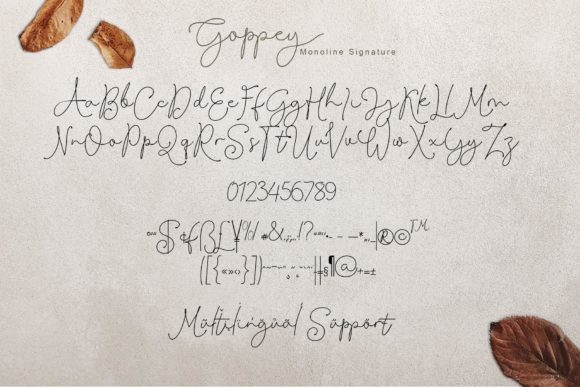 Goppey Font - Preview 3