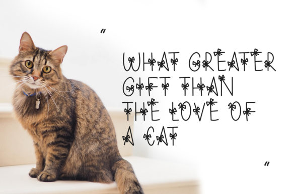 Bapo Font - Preview 5