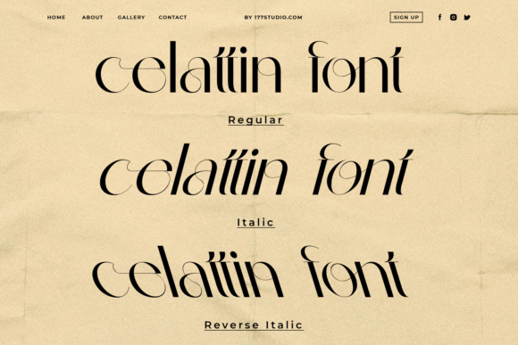 Celattin Font - Preview 3