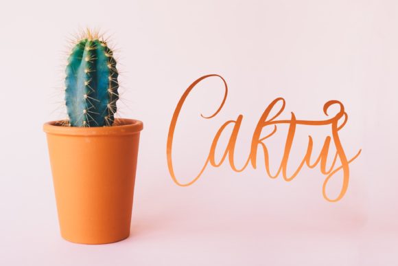 Beauty Green Font - Preview 5