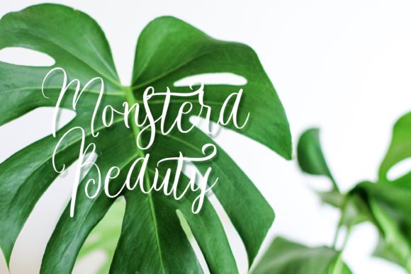 Beauty Green Font - Preview 6