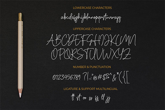 Cassual Signature Font - Preview 6