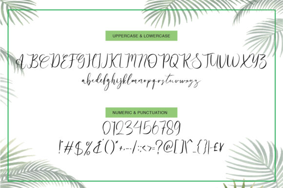 Adolide Font - Preview 5