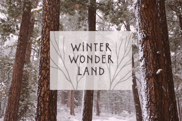 Northlands Font PNG with transparent background - Preview 2