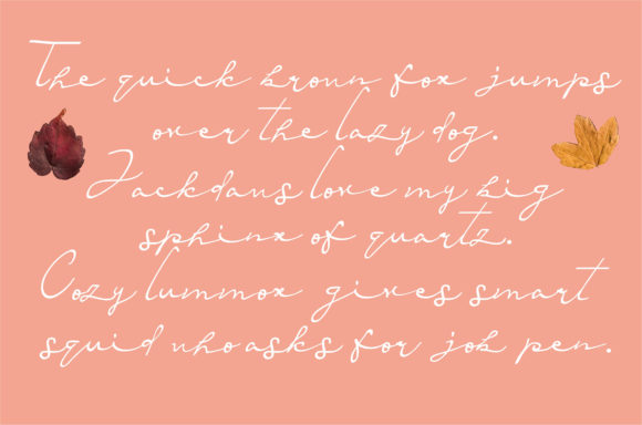 Red Romance Font PNG with transparent background - Preview 2