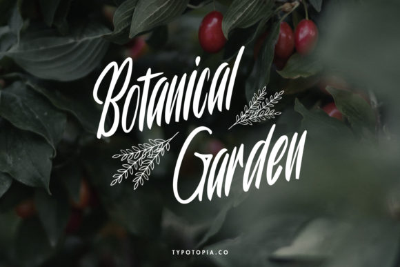Rouweth Font PNG with transparent background - Preview 5