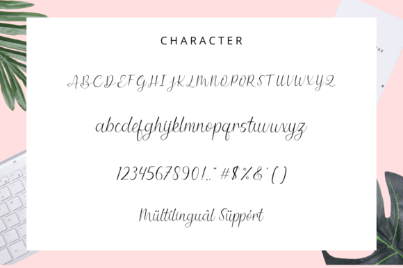 Amanda Font - Preview 5