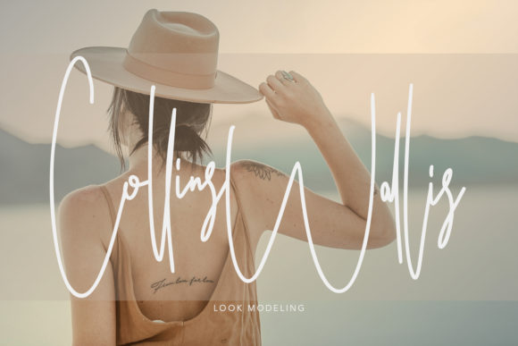 Ameriondela Font - Preview 1