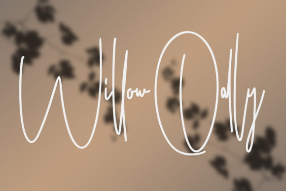 Ameriondela Font - Preview 2