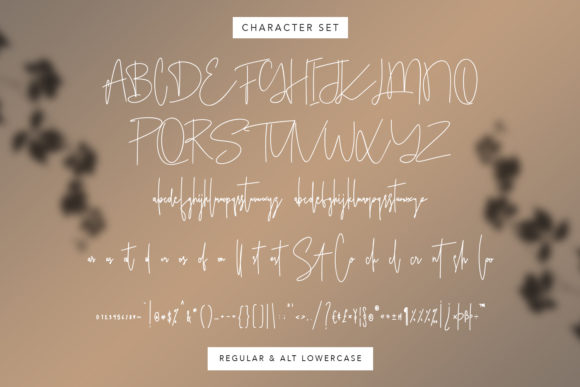 Ameriondela Font - Preview 4