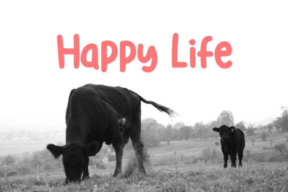 Red Angus Font PNG with transparent background - Preview 2