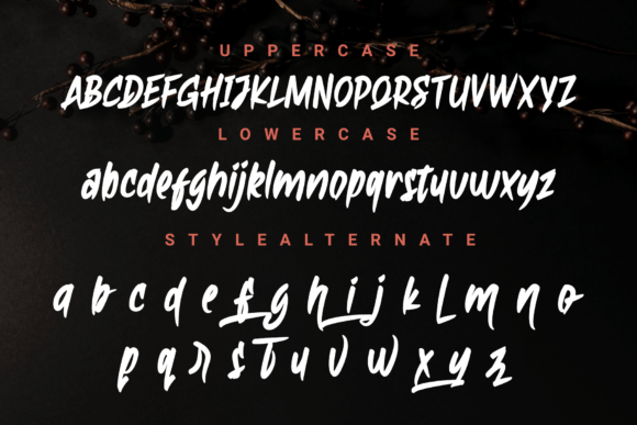 Ambiguous Font - Preview 1