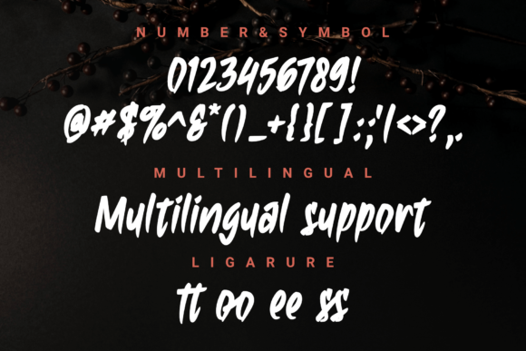 Ambiguous Font - Preview 2