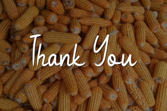 Boiled Corn Font - Preview 4