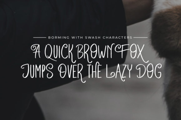 Borming Font - Preview 1