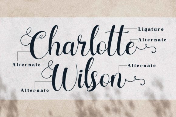 Charlotte Wilson Font - Preview 1