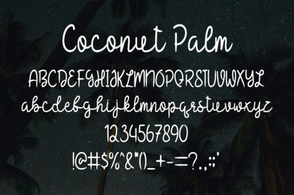 Coconut Palm Font - Preview 4