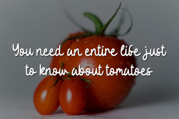 Fresh Tomato Font - Preview 1