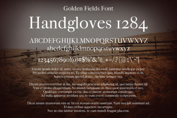 Golden Fields Font - Preview 1