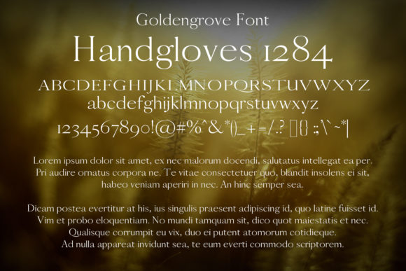 Goldengrove Font - Preview 1