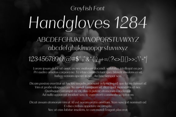 Greyfish Font - Preview 1