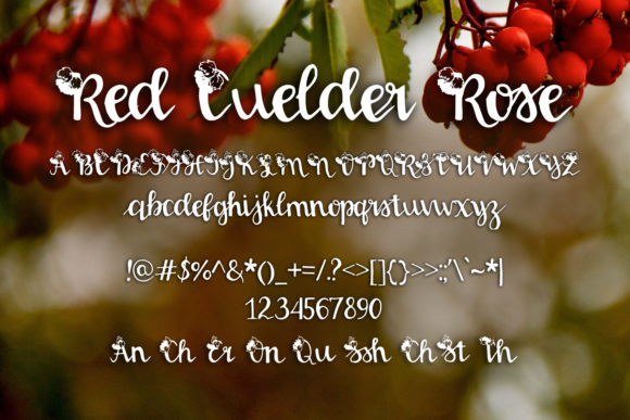 Red Guelder Rose Font PNG with transparent background - Preview 1