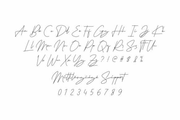 Signaturex Font PNG with transparent background - Preview 2