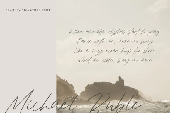 Bradley Font - Preview 5