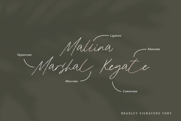 Bradley Font - Preview 6