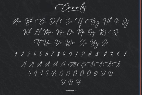 Canales Font - Preview 4