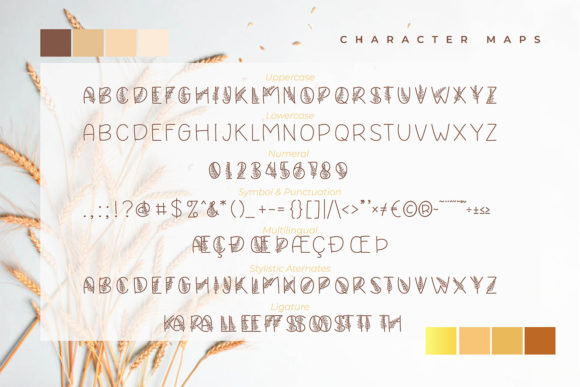 Padee Kapass Font PNG with transparent background - Preview 3