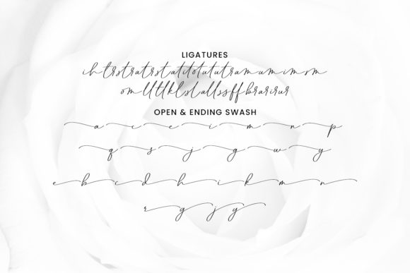 Pubrih Font PNG with transparent background - Preview 2