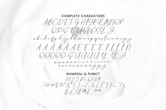 Pubrih Font PNG with transparent background - Preview 3