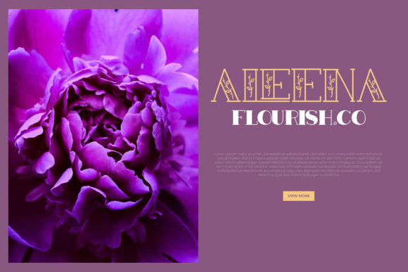 Ranila Font PNG with transparent background - Preview 2