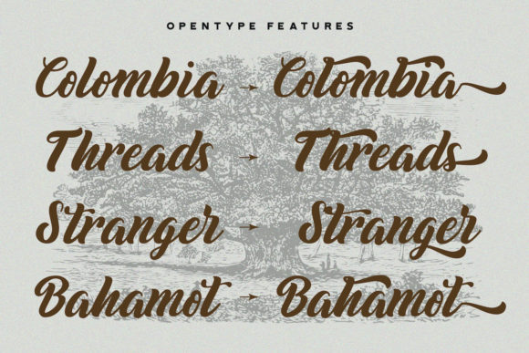 Biyonella Font - Preview 3