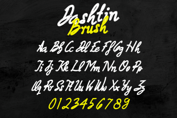 Dashtin Brush Font - Preview 5