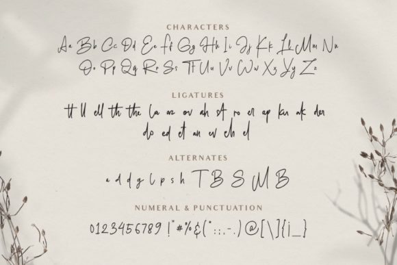 Blinkwomen Font - Preview 2