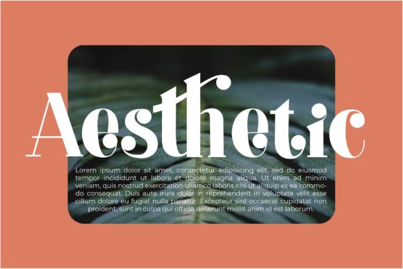 Camelia Font - Preview 3