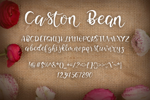 Caston Bean Font - Preview 1