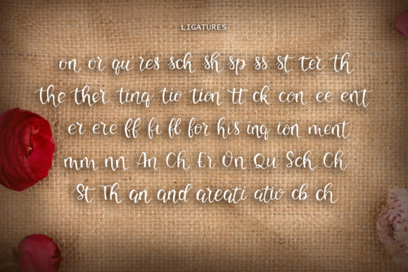 Caston Bean Font - Preview 2