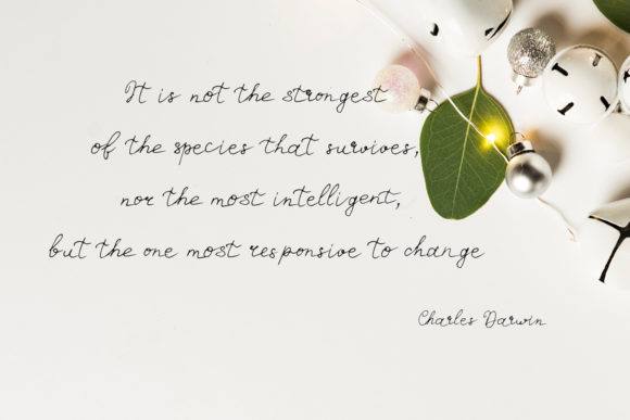 Dianella Font - Preview 4